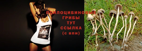 трава Алексеевка